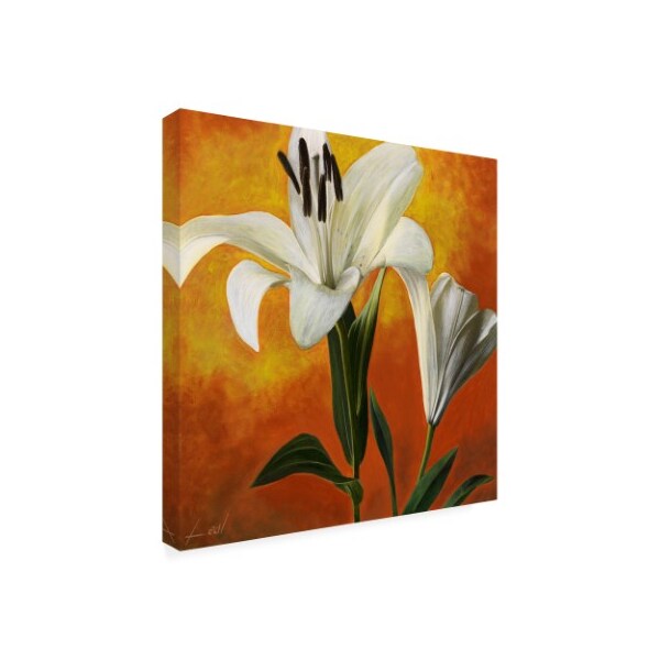 Pablo Esteban 'White Flower Over Orange Light 1' Canvas Art,24x24